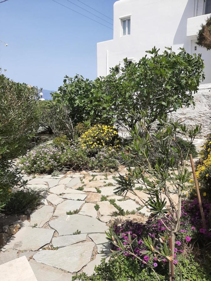 Angela'S Rooms Mykonos Town エクステリア 写真