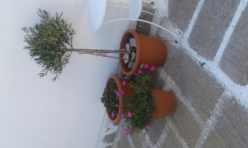 Angela'S Rooms Mykonos Town エクステリア 写真